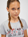 Sam 73 Hellgraues gestreiftes Mädchen-T-Shirt SAM 73 Axill