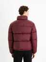 Celio Burgunderfarbene gesteppte Herren-Winterjacke Celio Fuparigi