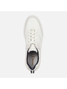 Geox Weiß Herren Geox Baltmoore Turnschuhe