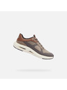 Geox Beige Herren-Sneaker Geox Spherica Ecub-5