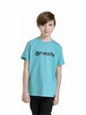 Meatfly Meatfly Kinder T-Shirt Bart Mint | Blau
