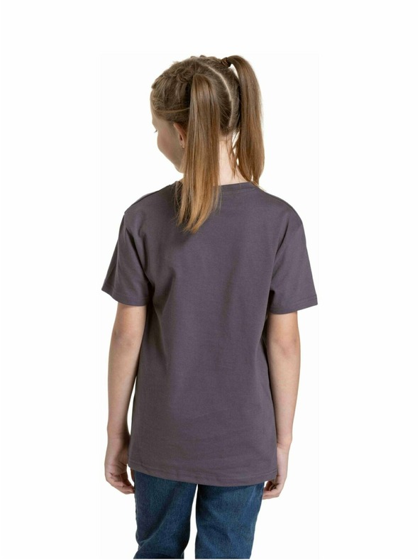 Meatfly Meatfly Kinder T-Shirt Artee Mystic Grau