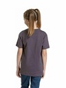 Meatfly Meatfly Kinder T-Shirt Artee Mystic Grau