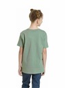 Meatfly Meatfly Kinder T-Shirt Dino Olive | Grün