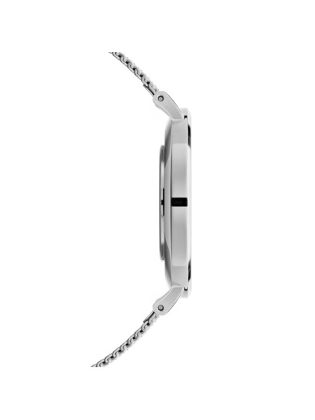 Daniel Wellington Damenarmbanduhr Daniel Wellington Petite Sterling DW00100306