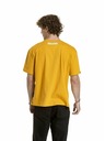 Meatfly Meatfly unisex T-Shirt Domes Gold Bronze Blured | Braun
