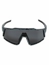 Meatfly Meatfly Polarisierte Sonnenbrille Nate Morph Schwarz