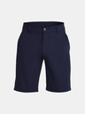Under Armour Herren Shorts Under Armour UA Tech Short