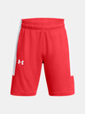Under Armour Jungen-Shorts Under Armour UA Baseline Short