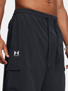Under Armour Herren Under Armour UA Vibe Woven Cargo Short