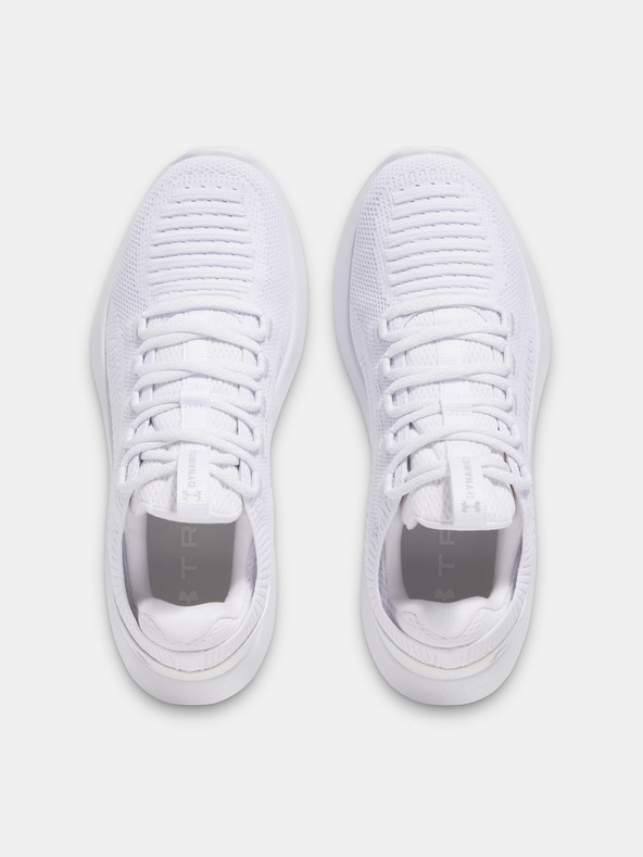 Under Armour Herrenschuhe Under Armour UA Dynamic 2