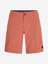 O'Neill Hybrid Shorts