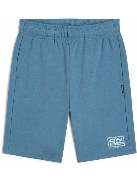 O'Neill O'Neill LOGO Jungen-Shorts Blau
