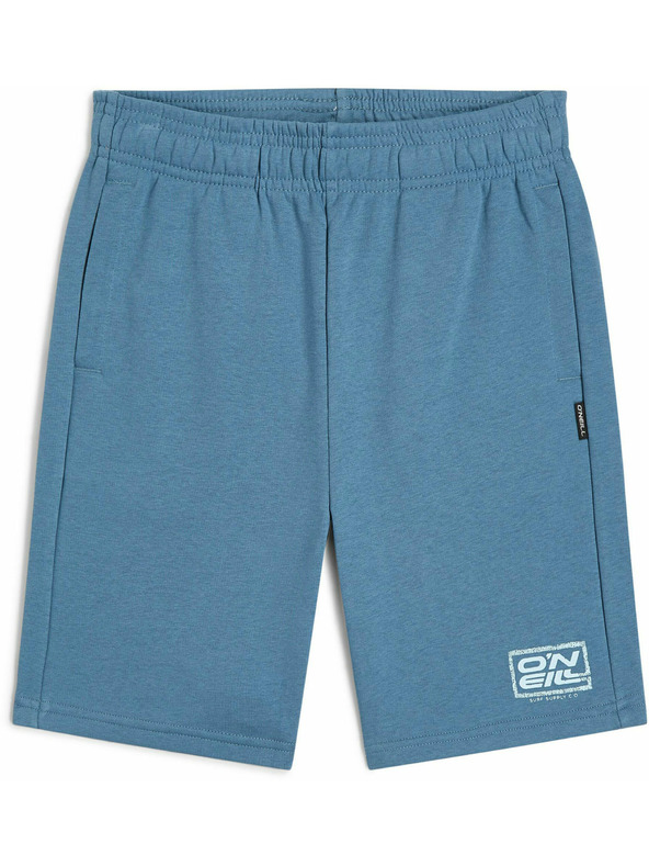 O'Neill O'Neill LOGO Jungen-Shorts Blau