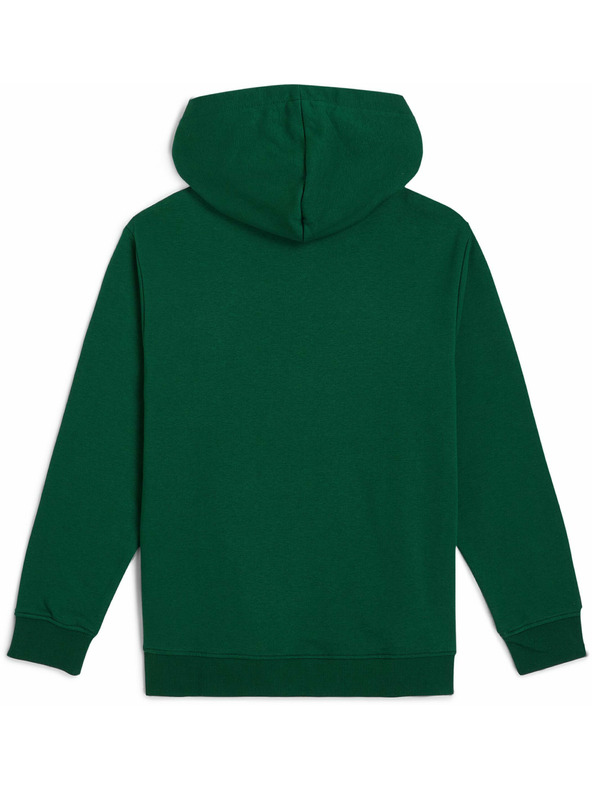 O'Neill O'Neill ESSENTIALS Jungen-Sweatshirt Dunkelgrün