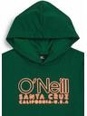 O'Neill O'Neill ESSENTIALS Jungen-Sweatshirt Dunkelgrün