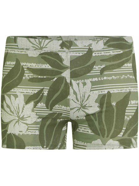 O'Neill O'Neill ESSENTIALS Herren-Badehose Hellgrün