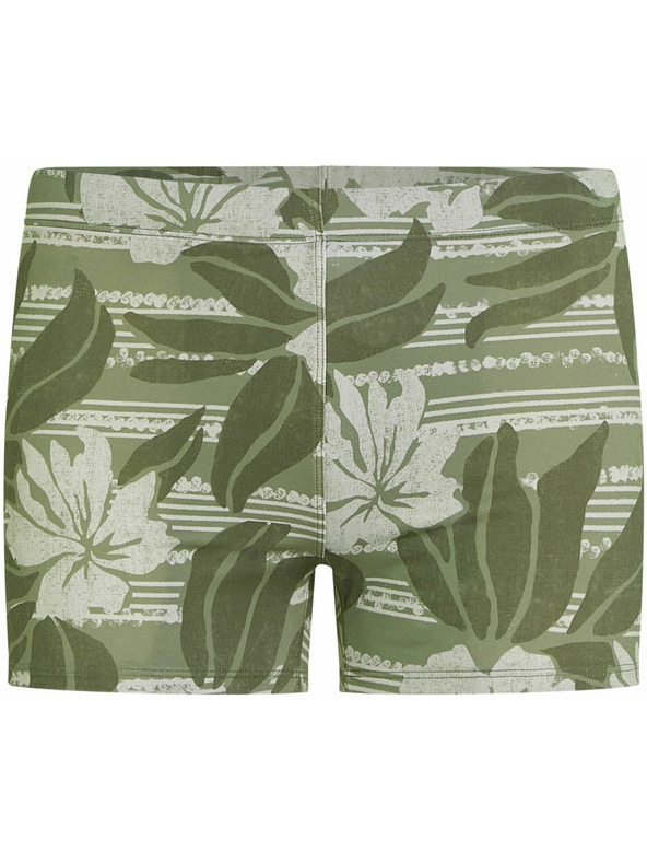 O'Neill O'Neill ESSENTIALS Herren-Badehose Hellgrün