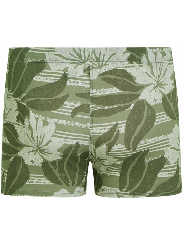 O'Neill O'Neill ESSENTIALS Herren-Badehose Hellgrün