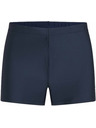 O'Neill O'Neill ESSENTIALS Herren-Badehose Dunkelblau