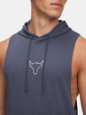 Under Armour Herren Sweatshirt Under Armour Pjt Rck Q3PO SL Hoodie-GRY