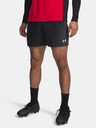 Under Armour Herren Shorts Under Armour Vanish Graphic Short-BLK