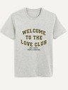 Celio Hellgraues Herren T-Shirt Celio Befisrtv