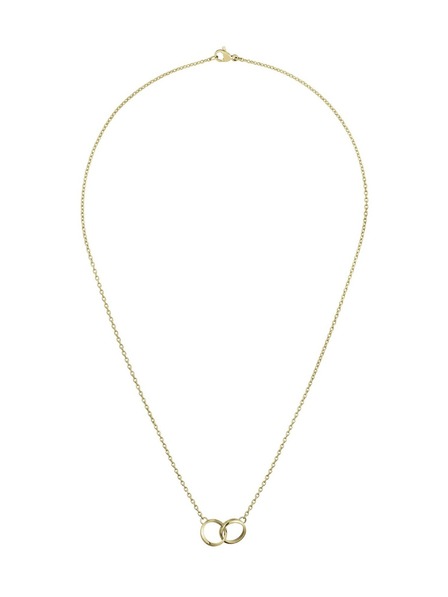 Daniel Wellington Damen Stahlhalskette Daniel Wellington Elan Unity DW00400219