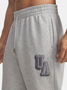 Under Armour Herren-Jogginghose Under Armour UA Icon Flc Graphic Jgr-GRY