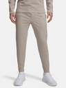 Under Armour Herren-Jogginghose Under Armour UA Meridian Joggers-BRN
