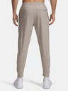 Under Armour Herren-Jogginghose Under Armour UA Meridian Joggers-BRN