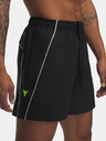 Under Armour Herren-Shorts Under Armour Pjt Rck Short