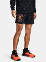 Under Armour Herren Shorts Under Armour Pjt Rck AOP Rvl Terry Sts