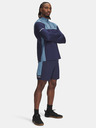 Under Armour Herren Shorts Under Armour UA Tech Utility Shorts-BLU