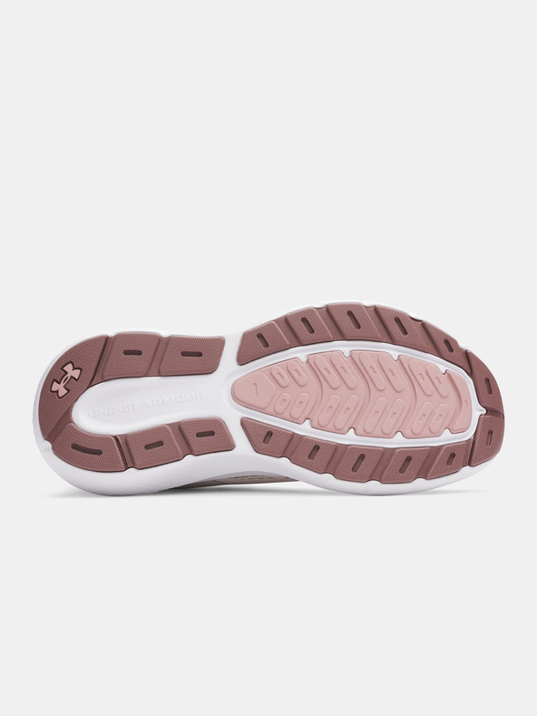 Under Armour Damen Schuhe Under Armour UA W Charged Rogue 5-WHT