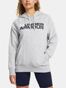 Under Armour Under Armour Rival Fleece Kapuzenpullover mit Wortmarke für Frauen