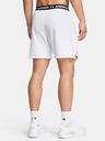 Under Armour Herren Under Armour UA Vanish Woven 6in Shorts