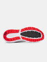Under Armour Herren Schuhe Under Armour UA Charged Rogue 5-WHT