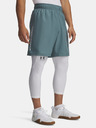 Under Armour Herren Under Armour UA Tech Woven Wordmark Short-BLU
