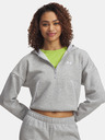 Under Armour Damen Hoodie Under Armour Rival Flc Piped HZ Hoodie-GRY