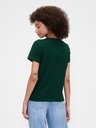 GAP T-Shirt GAP logo v-ss camo arch