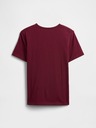 GAP Kinder T-Shirt GAP