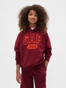 GAP Kinder Sweatshirt VintageSoft GAP