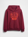 GAP Kinder Sweatshirt VintageSoft GAP