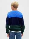GAP Kinderpullover CashSoft GAP