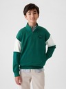 GAP Kinder Pullover Gap Athletic GAP