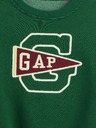 GAP Baby-VintageSoft-Sweatshirt GAP