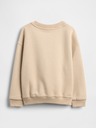 GAP Baby-VintageSoft-Sweatshirt GAP