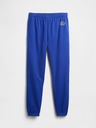 GAP Herren Sweatpants mit Fleece und Logo GAP