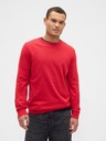 GAP Herren-Oversize-Pullover GAP